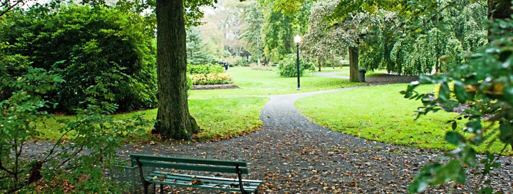 Peaceful Green Park - Sony Camera Photography